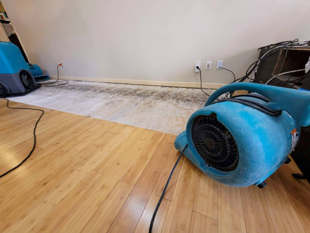 Professional Flood Damage Cleanup technician working in Savannah, TX